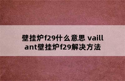 壁挂炉f29什么意思 vaillant壁挂炉f29解决方法